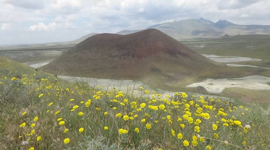 Meke Gölü'nün etrafını papatyalar sardı, içi yine su tutmadı! Ziyaretçiler üzgün 2